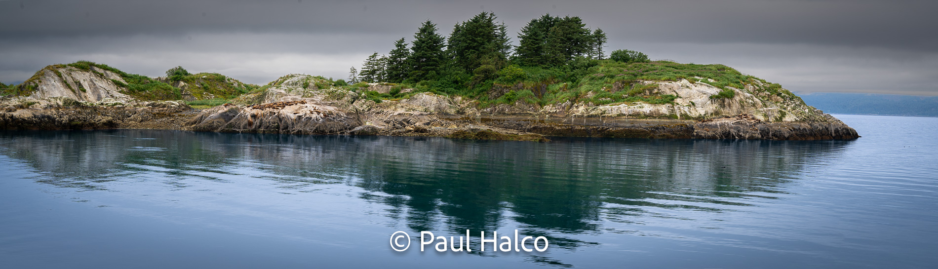 Paul Halco - Glacier Bay NP-11